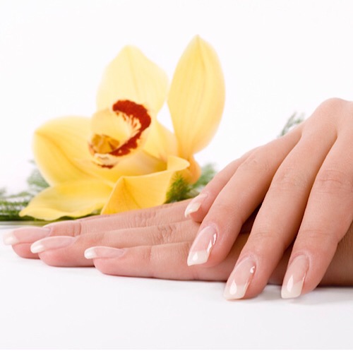 DAISY NAILS - manicure + pedicure